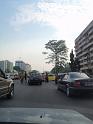 14 One of the last standing trees on the boulevard du 30 juin in Kinshasa (1)